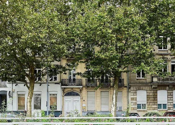 Les Beaux Arts - Face Au Palais, Coeur De * Lille