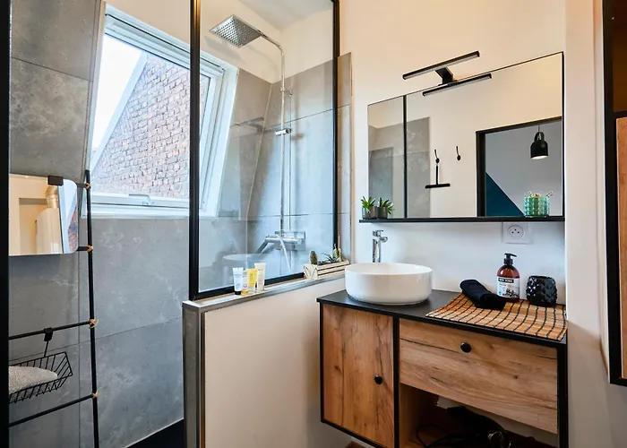 Beaux Arts - Les Demeures D'adrien Lille